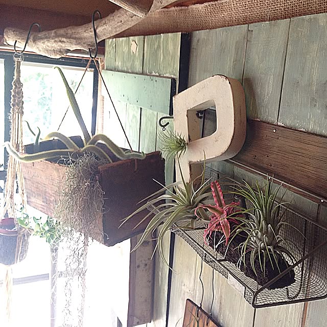 edenさんの実例写真
