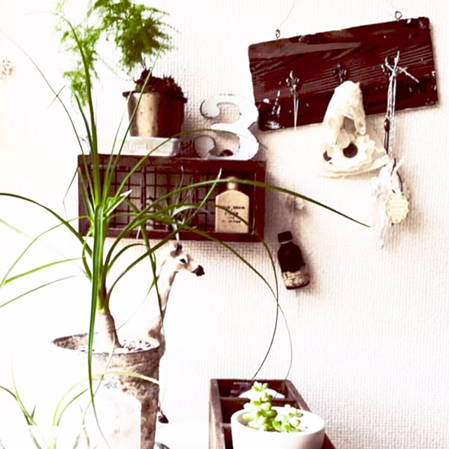 HannaGreenさんの実例写真