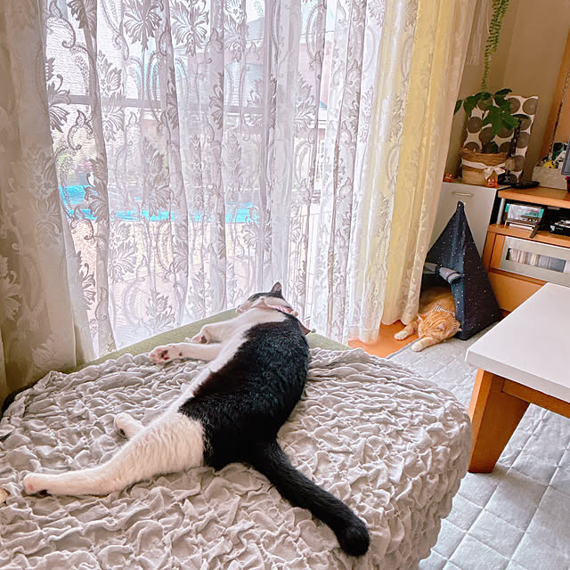 moolさんの実例写真