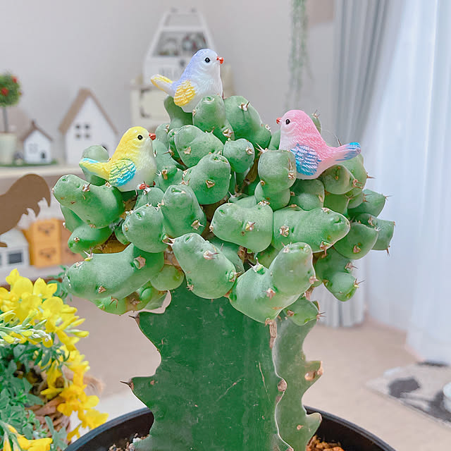Hanakaさんの実例写真