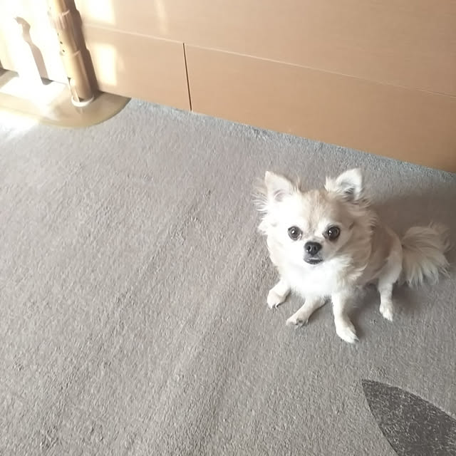 kiraさんの実例写真
