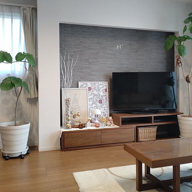 tan5さんの実例写真