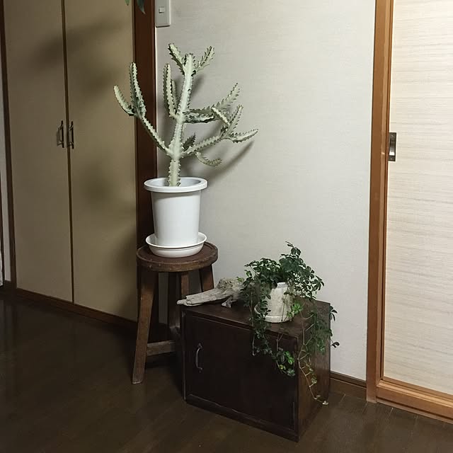 tadaさんの実例写真