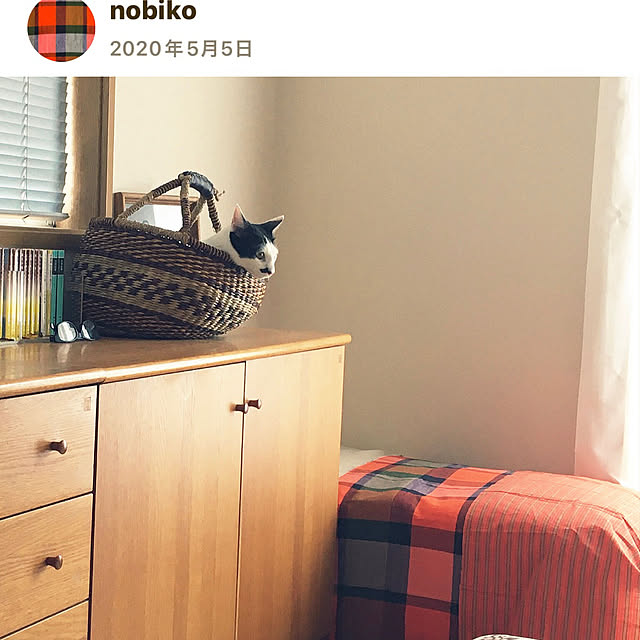 nobikoさんの部屋