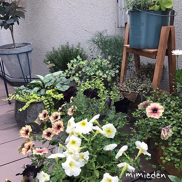 mimiedenさんの実例写真