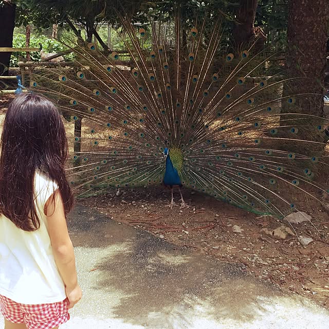 coraruさんの実例写真