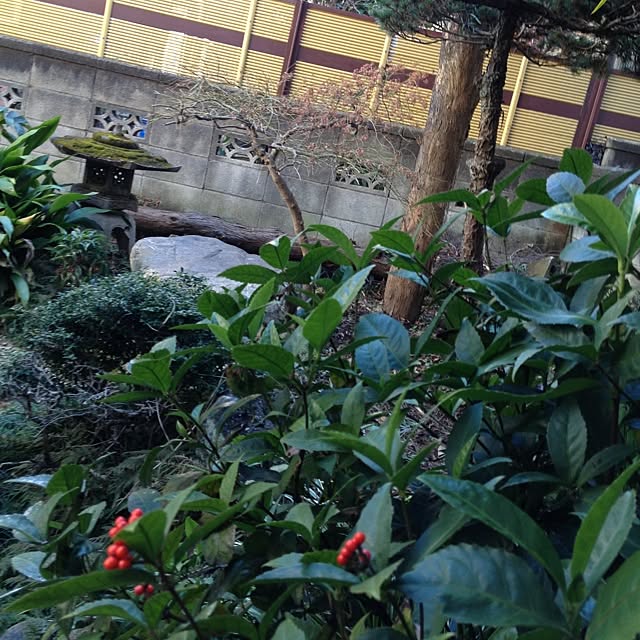 katsuwoさんの実例写真