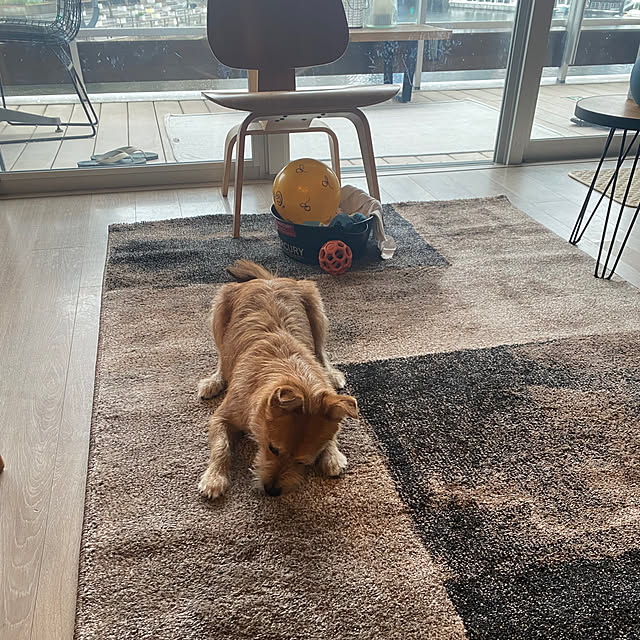 Yoheiさんの部屋