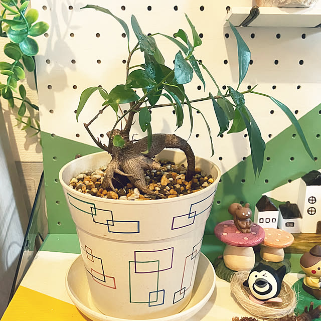 keep_patienceさんの部屋