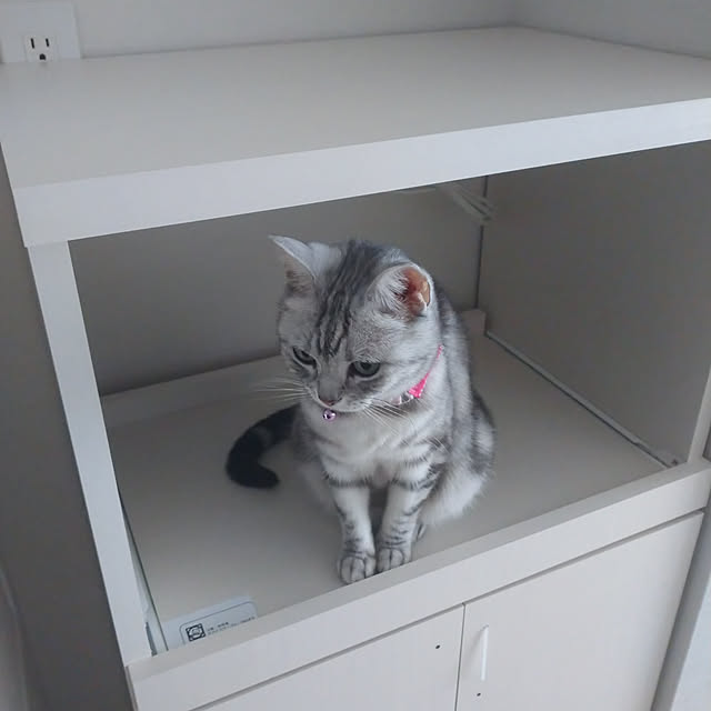 filament0109さんの実例写真