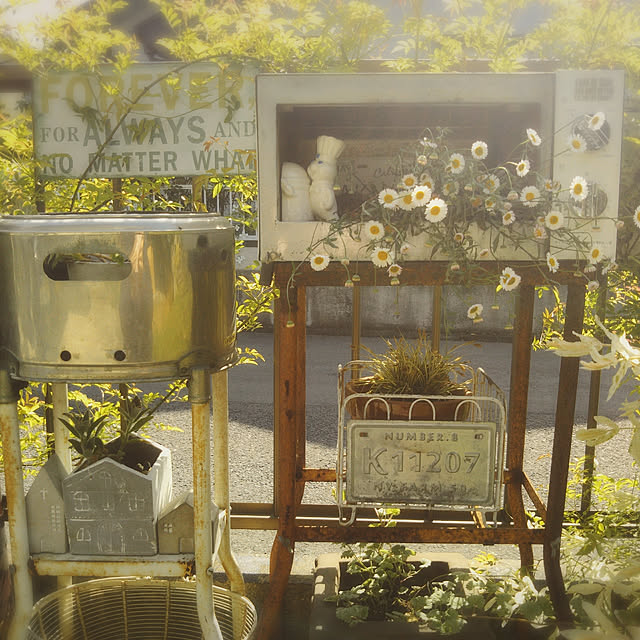 hononoさんの実例写真