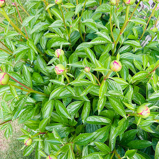 sunabaさんの部屋