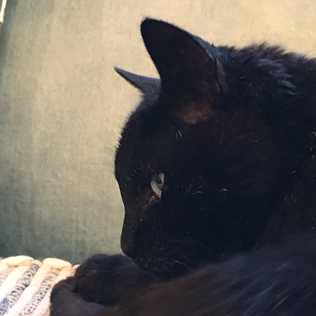 TiffanyTさんの実例写真