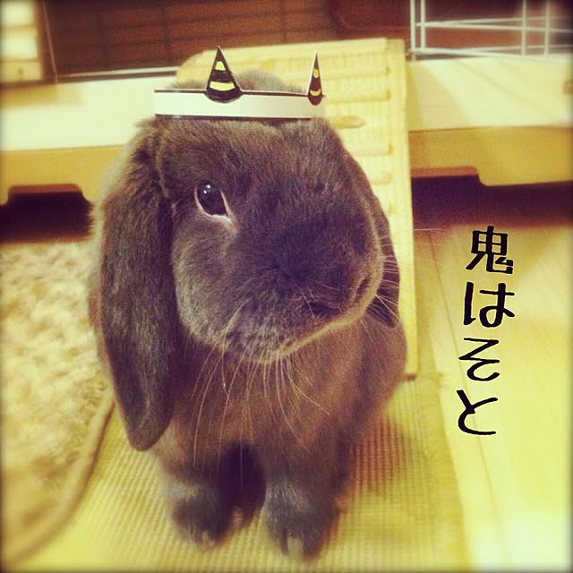 calminさんの実例写真