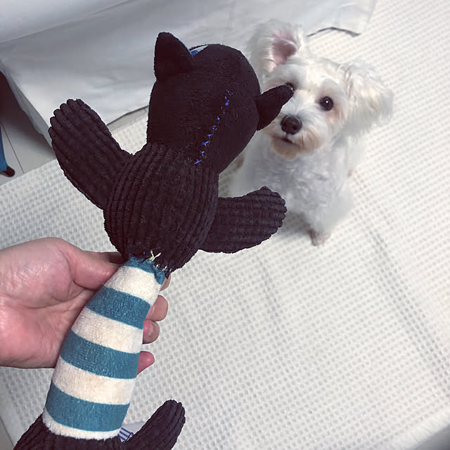 suzyさんの実例写真