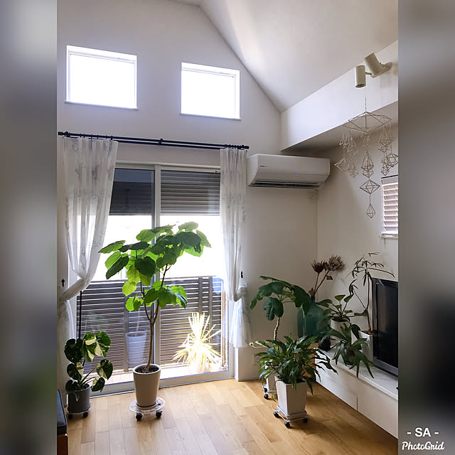 SAさんの実例写真