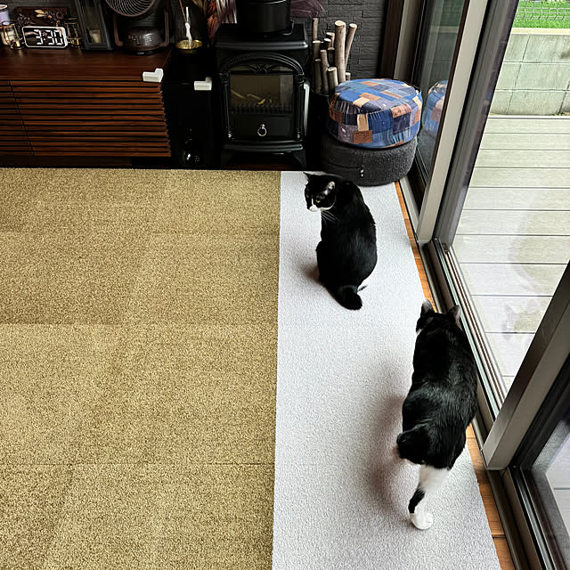 porinさんの実例写真