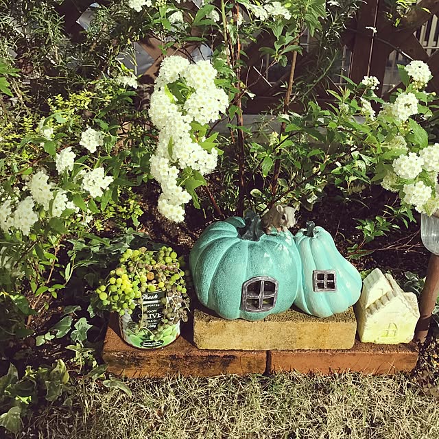 maikaさんの実例写真
