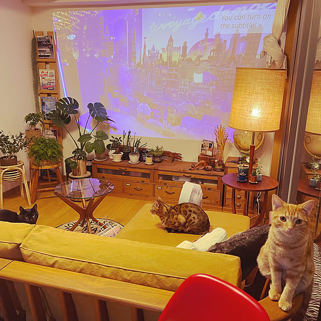 tama-mさんの実例写真
