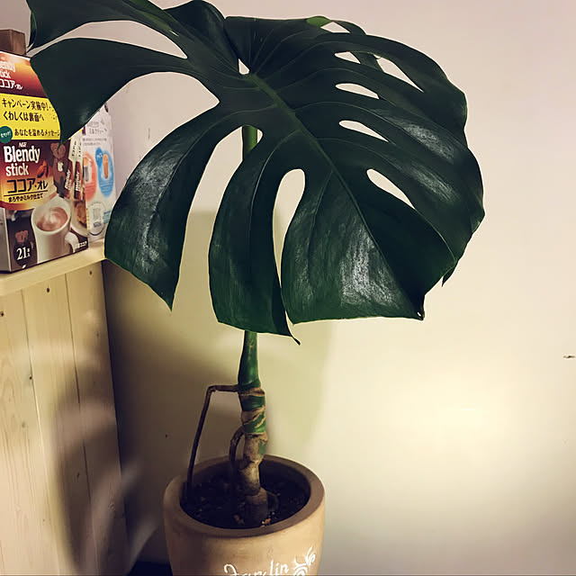 t.jさんの実例写真