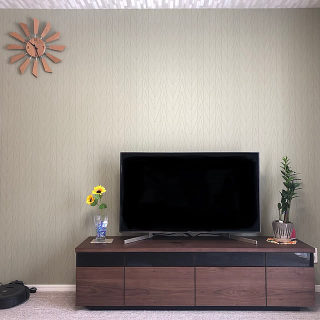 テレビボード/ダイソー/観葉植物/リビングのインテリア実例 - 2019-05-12 11:37:27