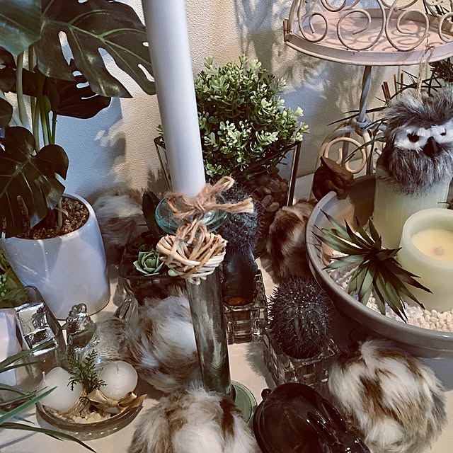 Mopmamaさんの実例写真