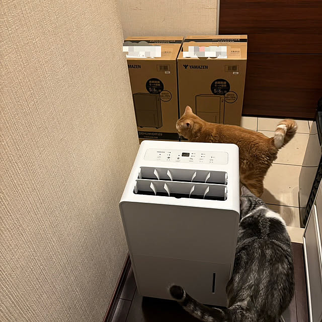 Atelier.mさんの実例写真