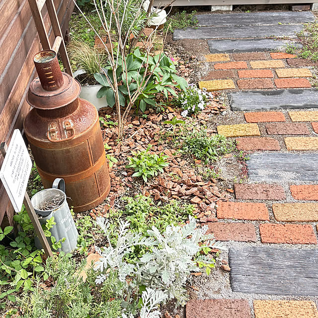 mami3さんの部屋