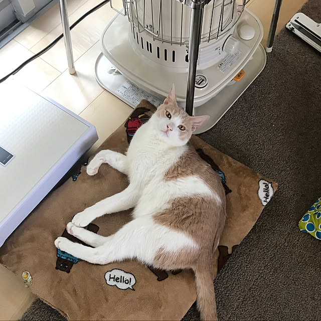 Y.Y.Mさんの実例写真
