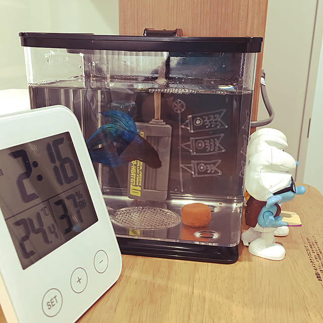curoさんの実例写真
