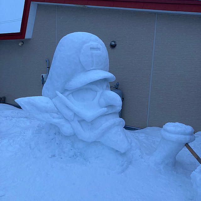 a_skrrさんの実例写真