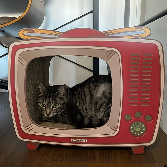 tawaさんの実例写真