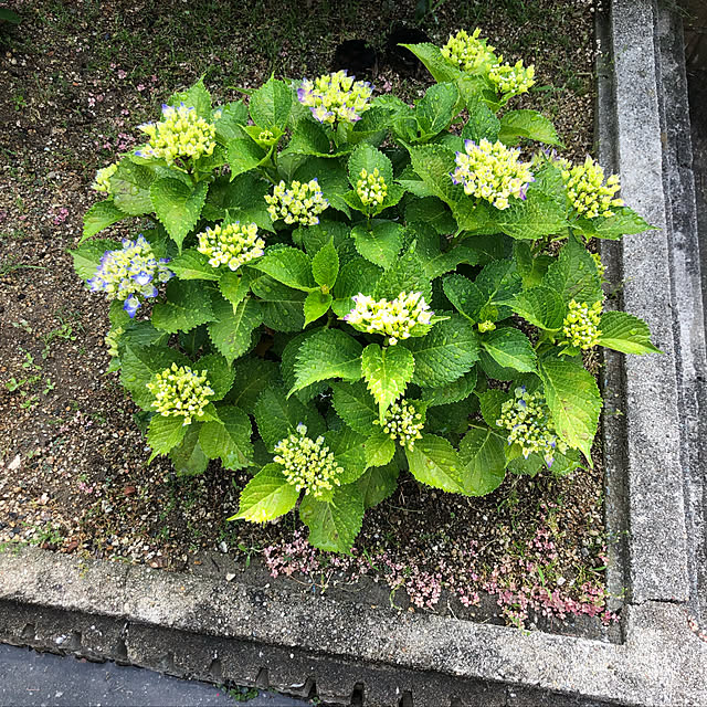 机のインテリア実例 - 2019-05-27 08:36:53