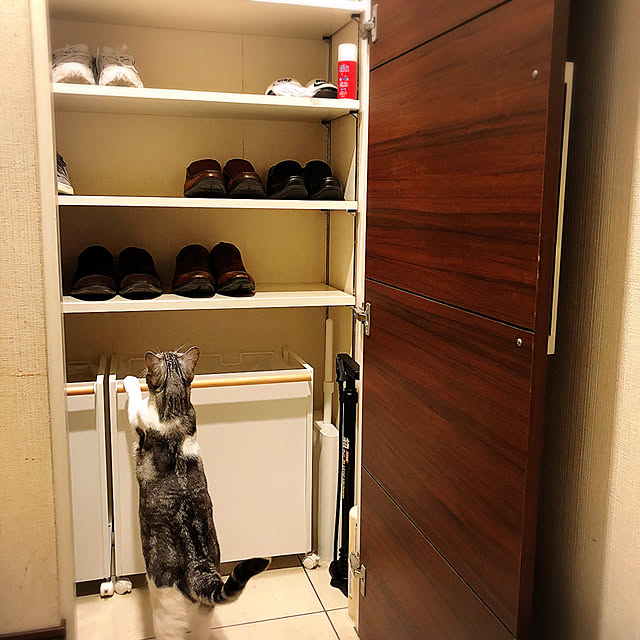 Atelier.mさんの実例写真