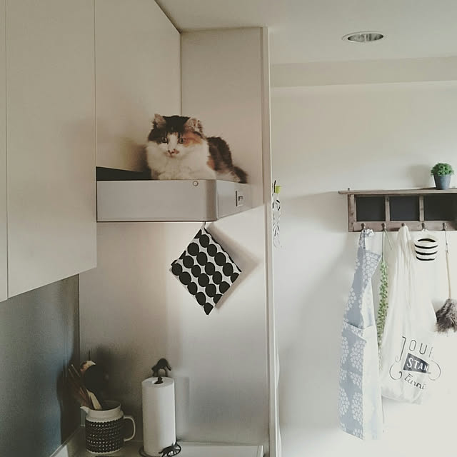 sumosarozaさんの実例写真