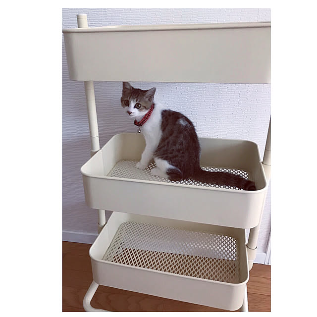 mya___kさんの実例写真