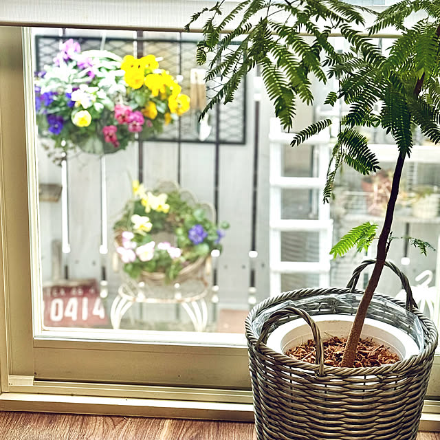 asako.10さんの実例写真