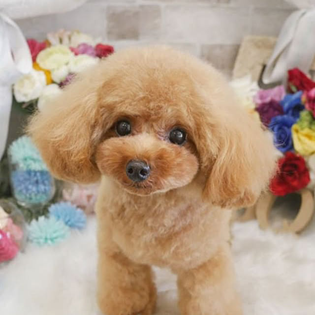 ベッド周りのインテリア実例 - 2019-04-28 14:19:26