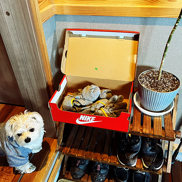 seiさんの部屋