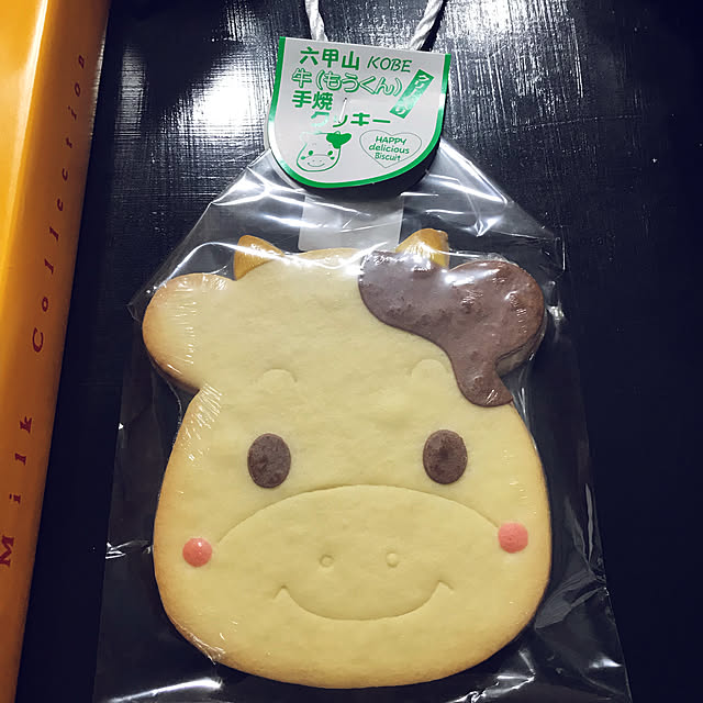 実例写真