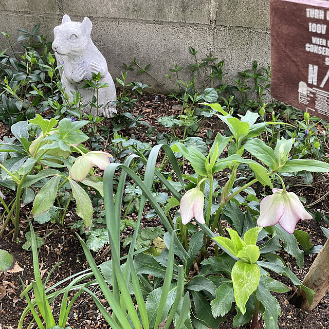 CoCo0617さんの実例写真