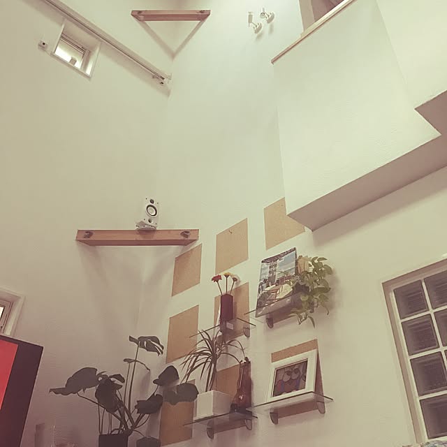 damihotoさんの実例写真