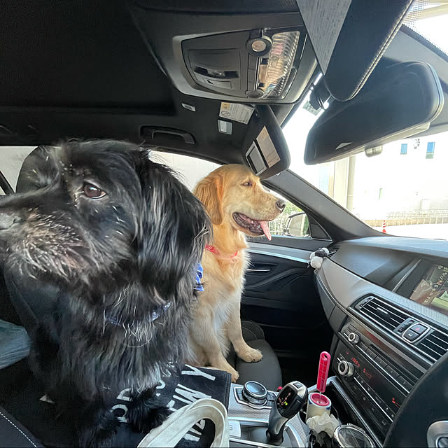 marinkoさんの実例写真