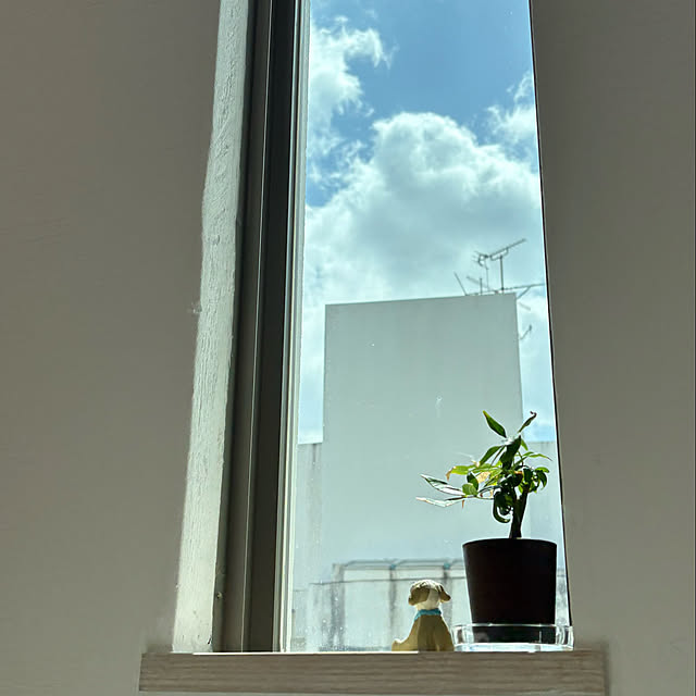 piiyanさんの部屋