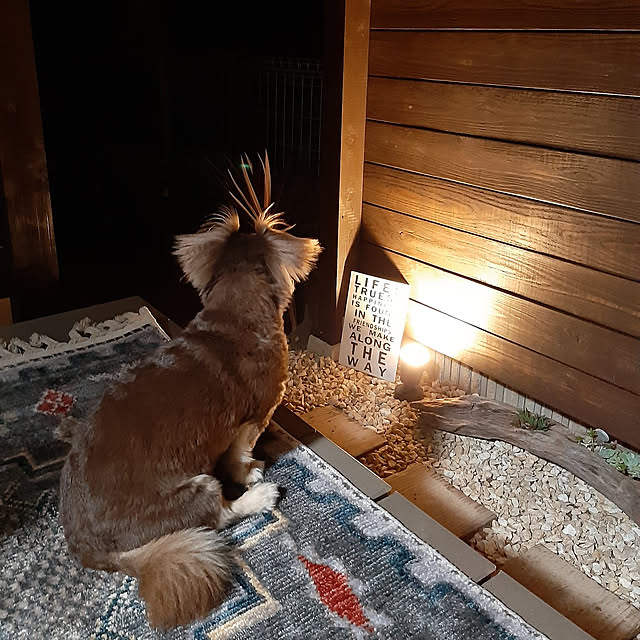 rikakoさんの実例写真