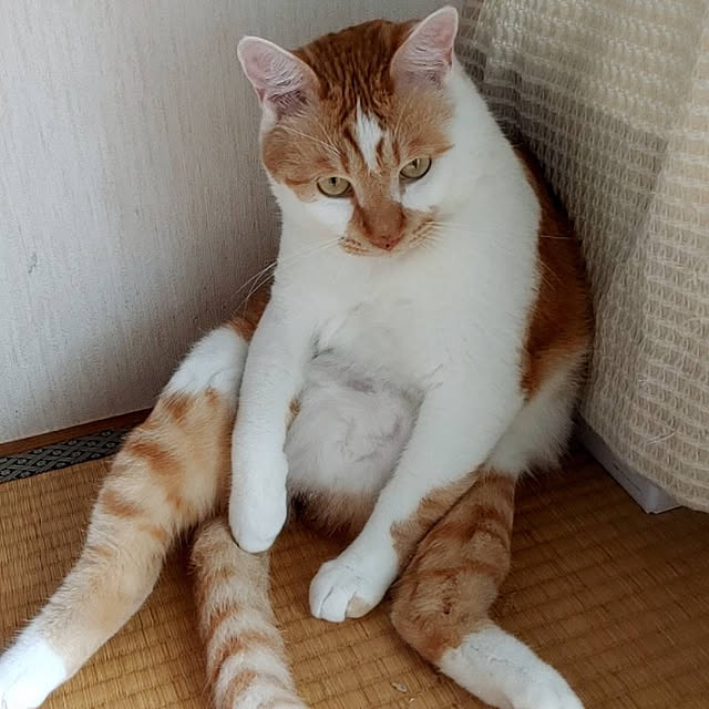 taka-kiさんの実例写真