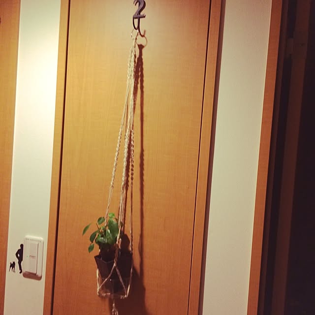 marobokeさんの実例写真
