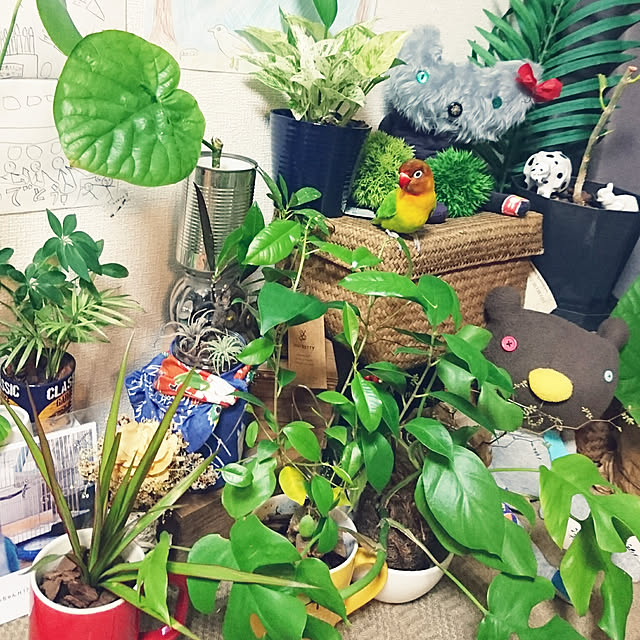 s.p.sunaoさんの実例写真