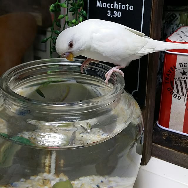 karinさんの実例写真