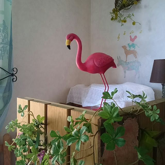 asaさんの実例写真